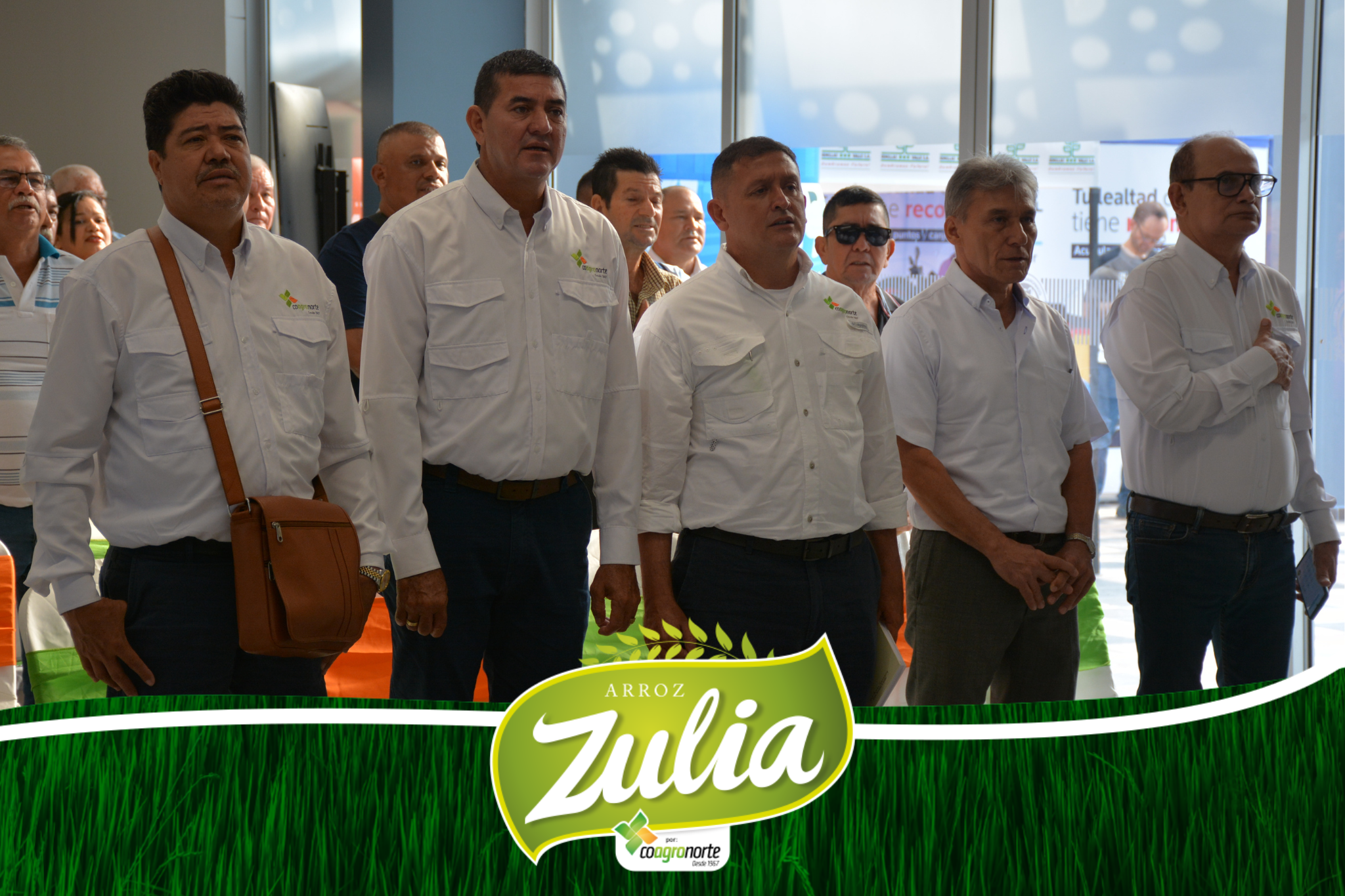Valores Cooperativos